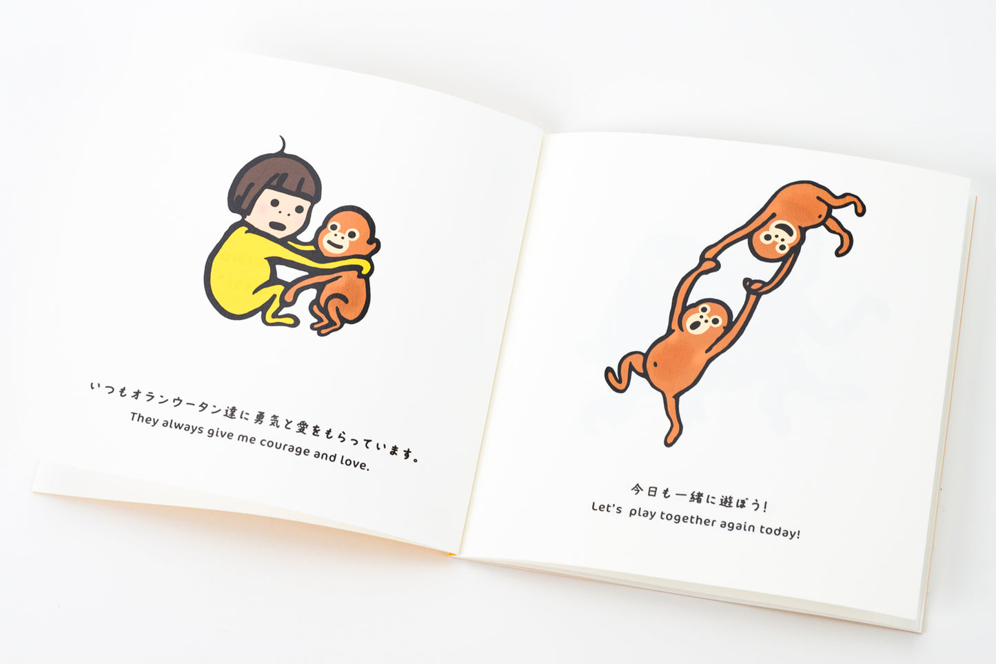 画集 "箱庭熱帯雨林"